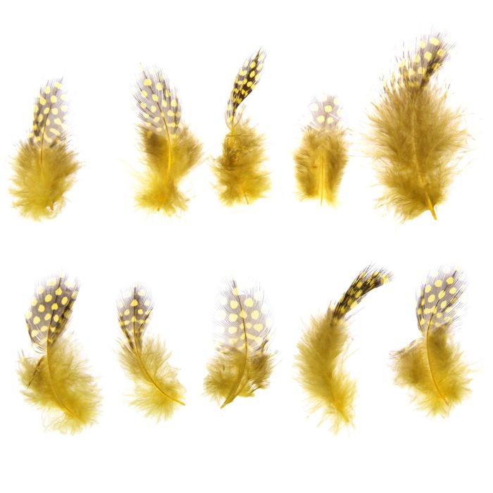 Набор перьев для декора 10 шт, размер 1 шт 5*2 цвет желтый с коричневым