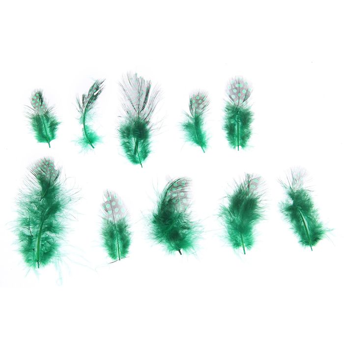 Набор перьев для декора 10 шт, размер 1 шт 5*2 цвет зеленый с черным