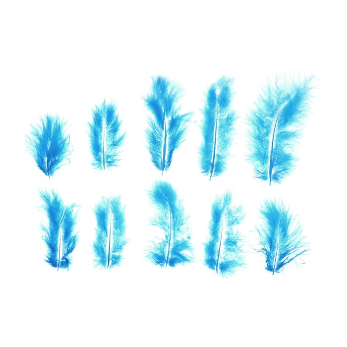 Набор перьев для декора 10 шт, размер 1 шт 10*2 цвет голубой