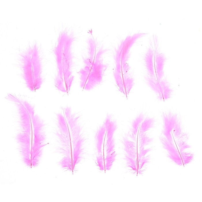 Набор перьев для декора 10 шт., размер 1 шт: 10 × 2 см, цвет розовый - фото 130315