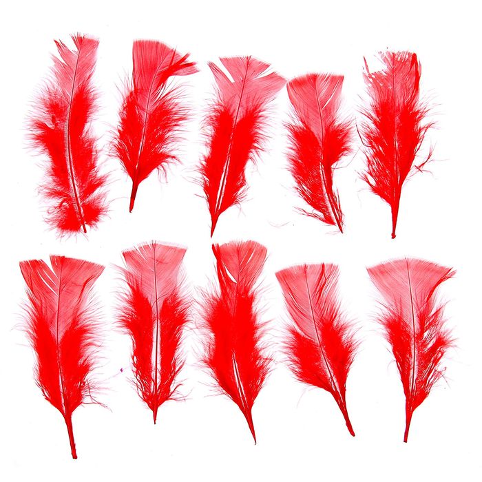 Набор перьев для декора 10 шт, размер 1 шт 16*4 цвет красный