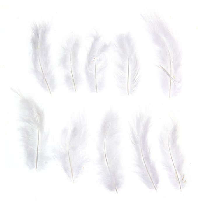 Набор перьев для декора 10 шт, размер 1 шт 10*2 цвет белый