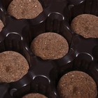 Набор для рассады: торфяная таблетка d = 4.1 см (12 шт.), кассета на 12 ячеек по 50 мл, поддон, зелёный 1306312