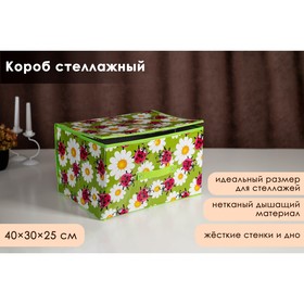 Короб для хранения с крышкой Доляна «Божьи коровки», 40×30×25 см, цвет зелёный