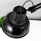 Светильник настольный Бета-К (без лампы) (МС,Е27, 60 Вт, 220 В) Черный - фото 2351461