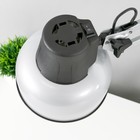 Светильник настольный БЕТА Б/ЛАМПЫ (Е27, 60 Вт, 220 В) Серебро - фото 2307588