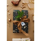 Лента атласная, 20 мм × 23 ± 1 м, цвет сепия №29 1218284