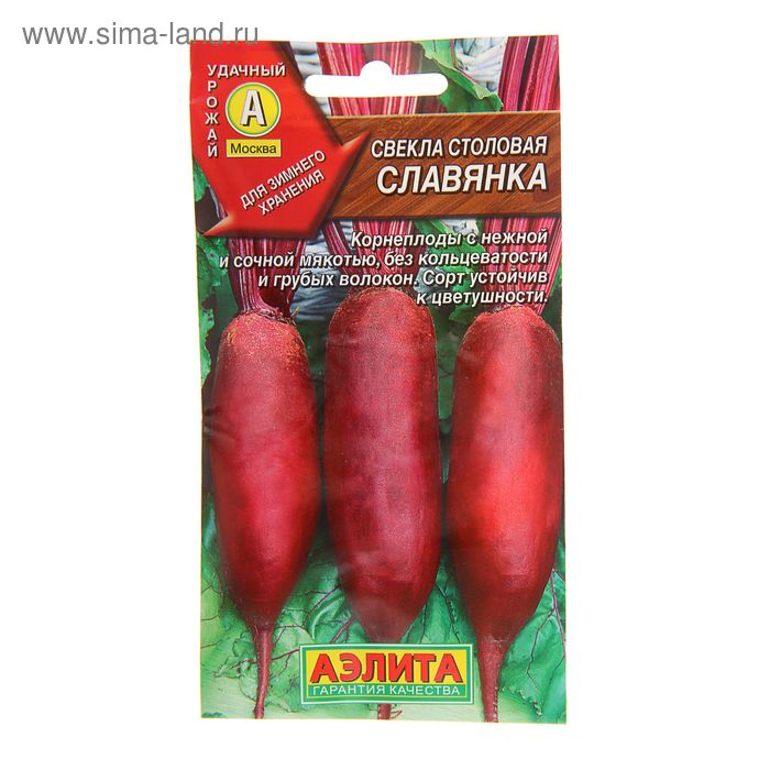 Свекла Славянка Описание Сорта Фото