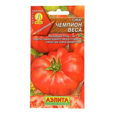 Томат Чемпион Фото