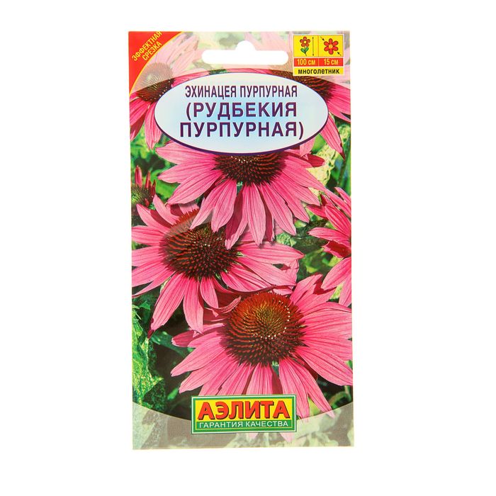 Эхинацея Семена Купить В Интернет Магазине