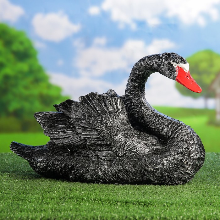Лебедь в черной окраске – символ изящества и роскоши