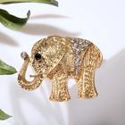 Брошь "Слон индийский", цвет белый в золоте - фото 4634232