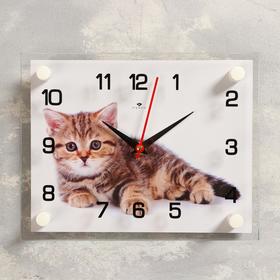 Часы настенные, серия: Животный мир, "Котенок", плавный ход, 20 х 26 см