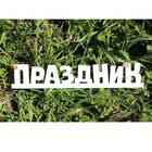 Деревянная заготовка "Весёлый праздник" 7,5х39х0,5 см Деревянная заготовка "Весёлый праздник" 7,5х39х0,5 см