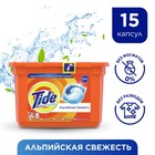 Капсулы для стирки Tide «Альпийская свежесть», 15 х 22,8 г 1390008 - фото 5580823