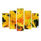 Модульная картина на подрамнике "Лилии", 2 — 25×52 см, 2 — 25×66,5 см, 1 — 25×80 см, 80×140 см