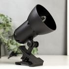 Светильник настольный на прищепке Надежда - 1 мини черный - фото 2307634