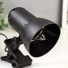 Светильник настольный на прищепке Надежда - 1 мини черный - фото 2307635