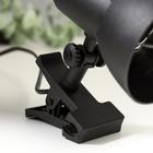 Светильник настольный на прищепке Надежда - 1 мини черный - фото 2307636