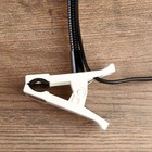 Светильник настольный на флексе НАДЕЖДА - ПШ Белый - фото 2307641