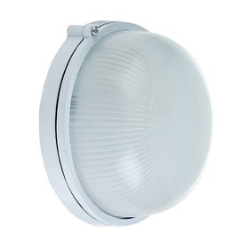 {{productViewItem.photos[photoViewList.activeNavIndex].Alt || productViewItem.photos[photoViewList.activeNavIndex].Description || 'Светильник TDM НПБ1301, Е27, 60 Вт, IP54, круглый, белый'}}