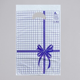 Пакет "Синяя клетка", полиэтиленовый с вырубной ручкой, 22 х 30 см, 12 мкм