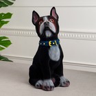 Копилка "Собака Боксёр", чёрный цвет, флок, керамика, 33 см - фото 8291063
