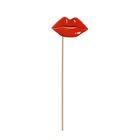 Vocabulatory on a stick "Lips"