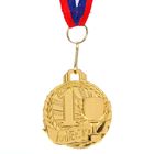 Медаль призовая 1 место, золото, d=4,6 см - фото 6799936