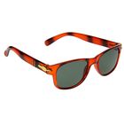 Очки солнцезащитные детские Wayfarer. Оправа коричн. тигр, дужки вставка золото, 3х5х14.5 см