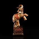 Сувенир "Слон стоящий на кубе", бронзовая, 30 см, микс - фото 1671749