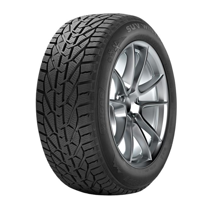 Зимняя нешипуемая шина Bridgestone Blizzak DM-V2 275/40 R20 106T