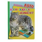 Книжка-лото "Кто здесь живет?" Книжка-лото "Кто здесь живет?"