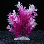 Растение искусственное аквариумное, 15 х 10 х 20 см - фото 3903230