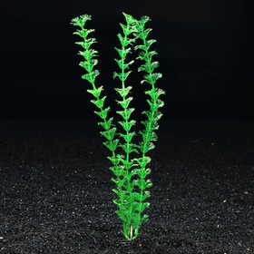 Растение искусственное аквариумное, до 28 см
