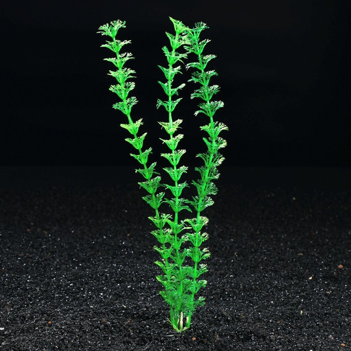 Растение искусственное аквариумное, до 28 см - фото 3903231