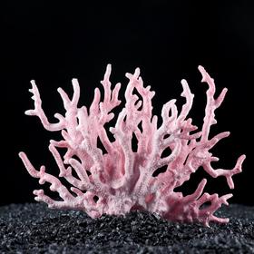 {{photo.Alt || photo.Description || 'Коралл пластиковый малый 17 х 6 х 13 см, розовый'}}