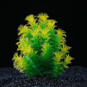 Растение искусственное аквариумное, 15 х 12 х 18 см (2 шт)
