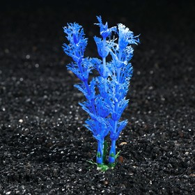 Растение искусственное аквариумное Лимнофила, 10 см, бело-синяя (10 шт)