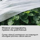 Материал укрывной, 5 × 1.6 м, плотность 17 г/м², с УФ-стабилизатором, белый, «Агротекс» 1462987