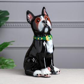 Копилка "Собака Боксёр", глянец, чёрный цвет, 32 см, микс