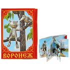 Magnet-book "Voronezh", 11 minutes