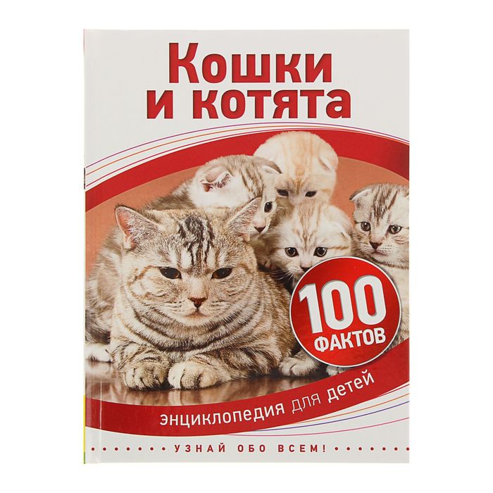 100 фактов «Кошки и котята»