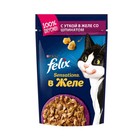 Влажный корм FELIX Sensations для кошек, утка/шпинат в желе, пауч, 85 г - фото 1740134