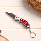Folding knife, keychain Shark 11cm, mixed, plastic handle