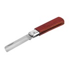 Нож универсальный складной ТУНДРА, деревянная рукоятка, прямое лезвие, нержавеющая сталь - фото 157019