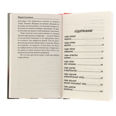 Содержание отзыва. Ситников кот книга. Ситников, ю. запутанное происшествие. Ситников Юрий дело о подозрительной гостье. Книга Ситникова тайна школьного подвала.