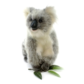 Мягкая игрушка «Счастливая коала», 23 см