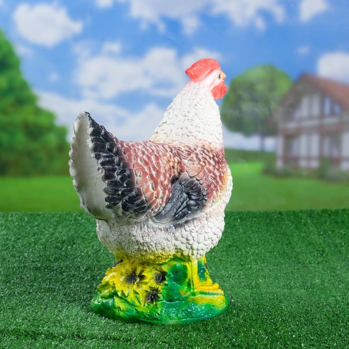 красивый петух. петух курица цыпленок. цветок курочка. деревенские куры. "петушиный гребень" обызвестлен.