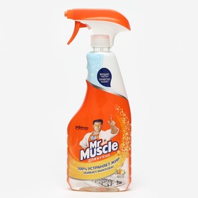{{photo.Alt || photo.Description || 'Чистящее и моющее средство для кухни Mr Muscle «Энергия цитруса», 500 мл'}}